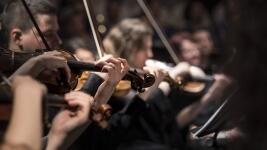 housle classical-music-1838390 960 720